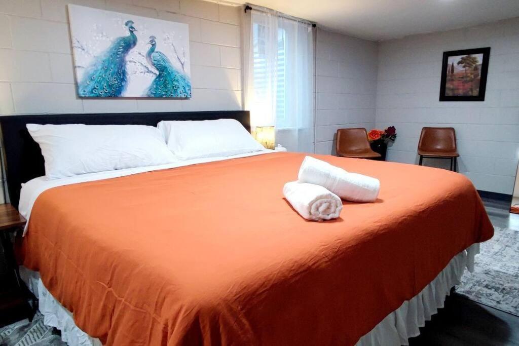 Spacious Suite Close To Downtown Indy/ King Bed Indianapolis Exterior foto